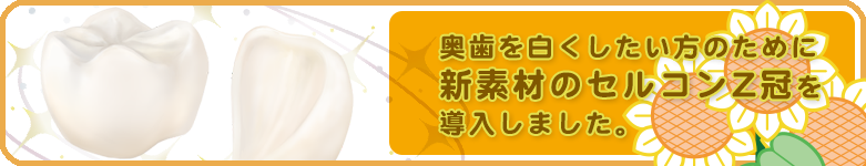 奥歯を白くしたいかたのために新素材のセルコンZ冠を導入しました。